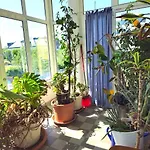 Apartmán 135qm 4 In Stadtnaehe, Wintergarten Parkplatz Oldenburg