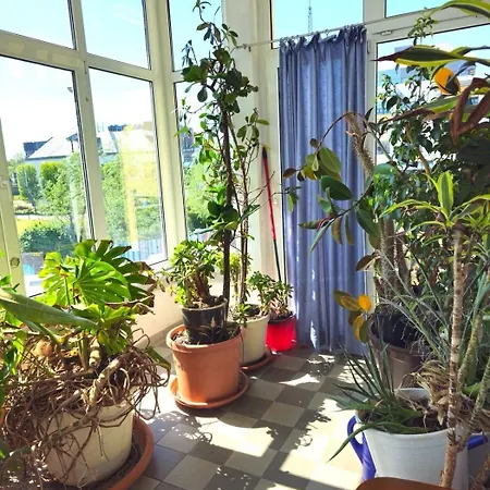 Apartment Helle Mit Sonnigem Ausblick, In Zentraler Lage 135 Qm, 4 Oldenburg
